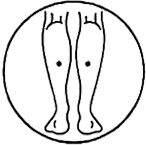 感冒7.png