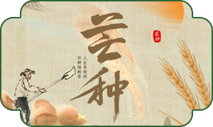 4821754527353882.png 芒种内页.png
