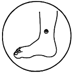 助眠3.png