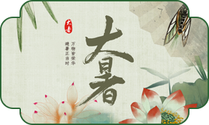 8731754527395450.png 大暑内页.png